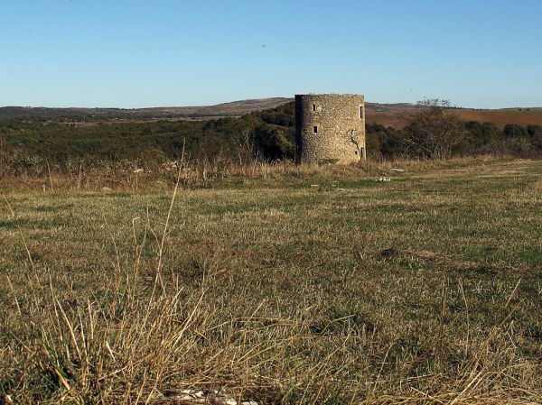 Los ríos de Europa se están secando: consecuencias para la naturaleza y la economía
