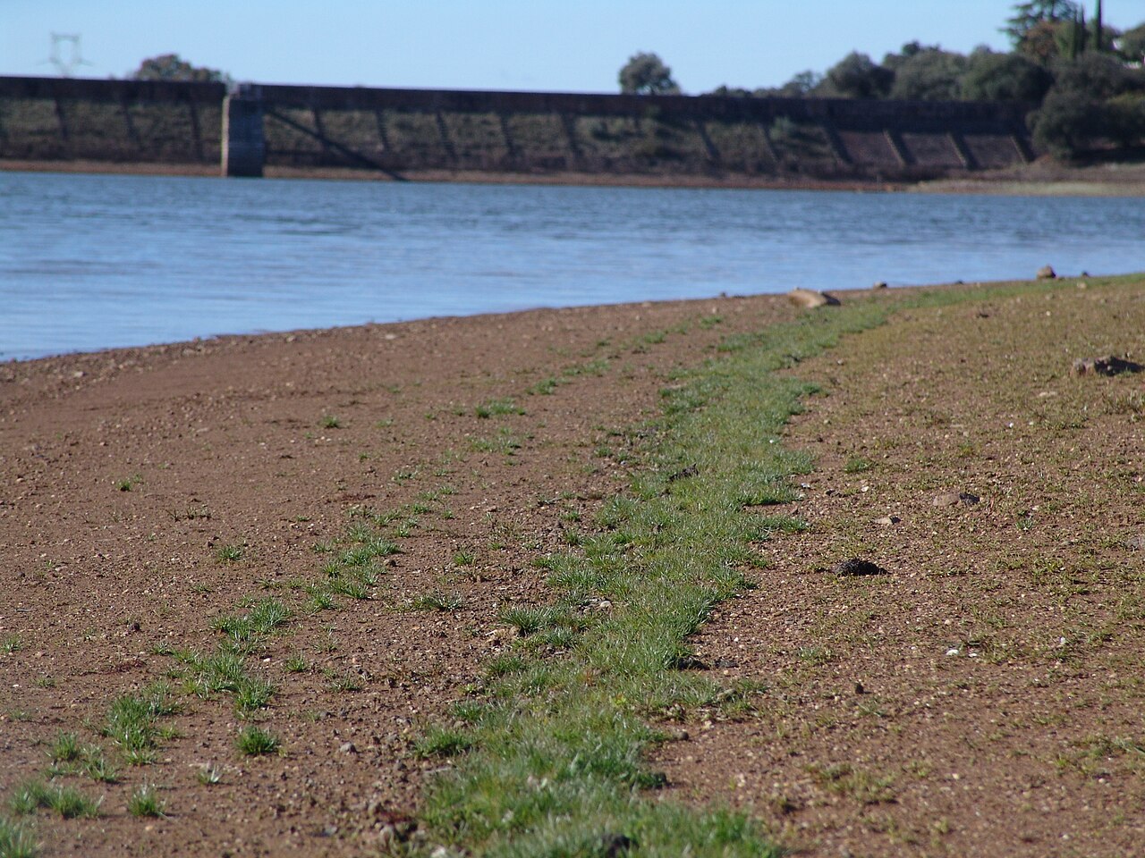 Bajo nivel de agua: El ministro de Transporte Bilger planea reunión de crisis y cambios en la prohibición de camiones