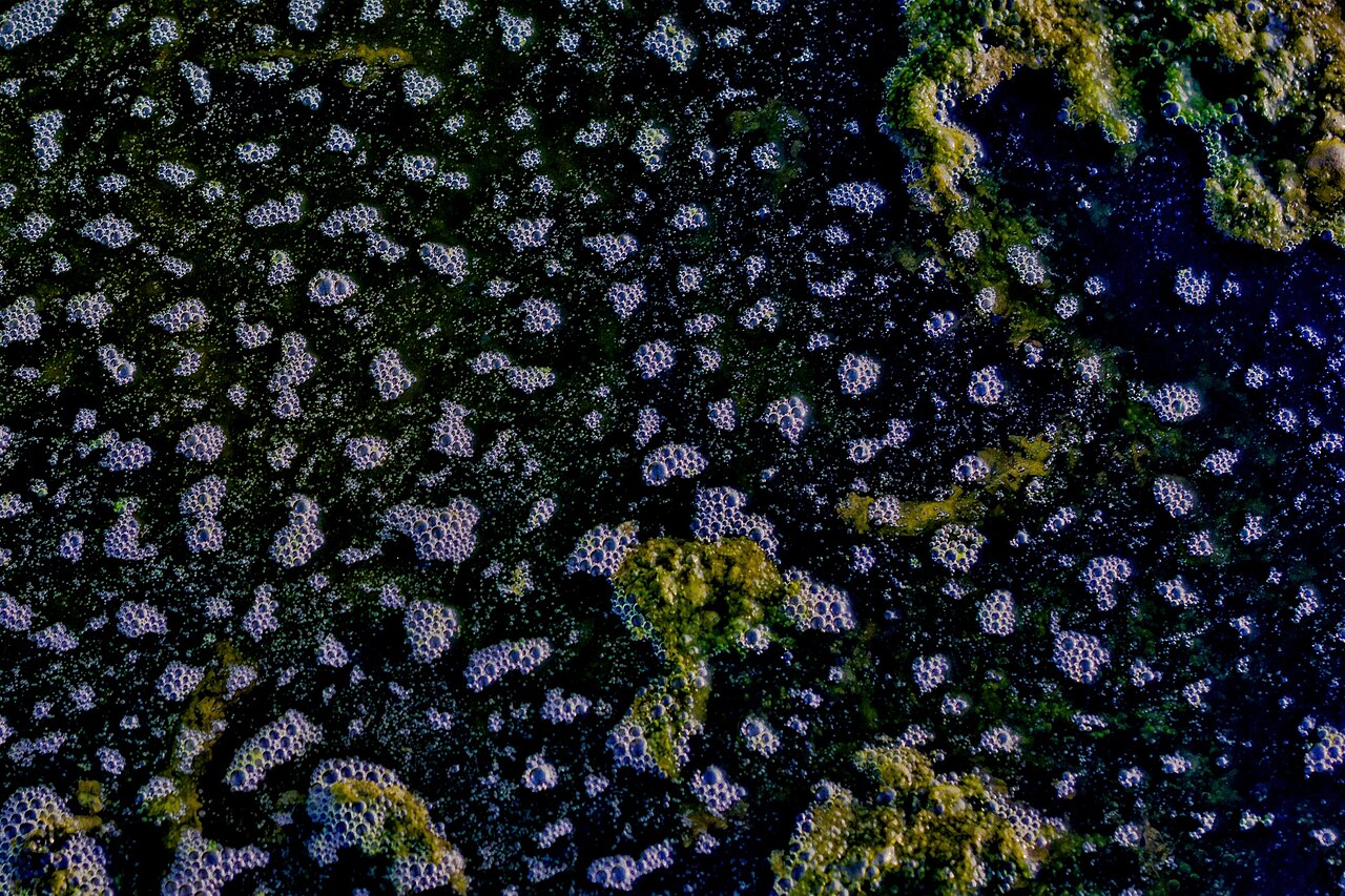 Verdubbeling van methaanuitstoot uit Siberische permafrost tussen 2010 en 2023
