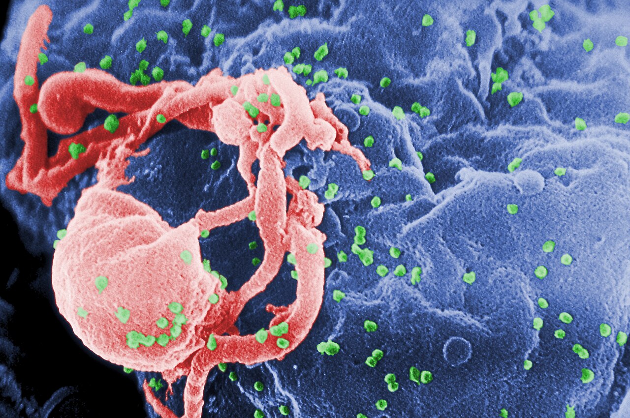 Asien erreicht 95/95/95 HIV-Ziel